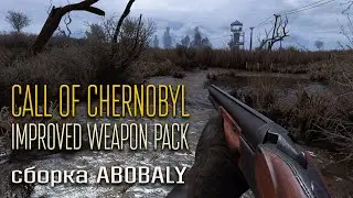 STALKER: Call of Chernobyl ☢ Improved Weapon Pack (сборка Abobaly) ☢ Интерактив