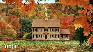 Autumn leaves green screen #1