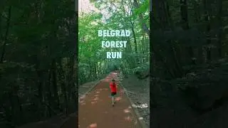 🇹🇷🏃🌳🍃 Belgrad Ormanı, Forest #shorts  #travel #istanbul #running #forest