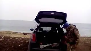 VID-20180407-WA0002.mp4