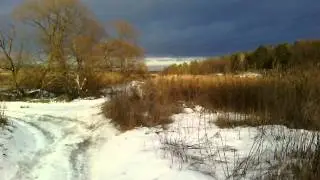 Живая картина