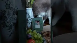 19 августа, 6 лет назад, в 17 часов мне позвонили с незнакомого номера и .наступил АД#предместинваня