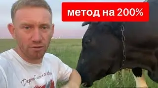 ПРИЗНАК ОТЁЛА ЧЕРЕЗ 6 ЧАСОВ ⏰ 200% рабочий метод.