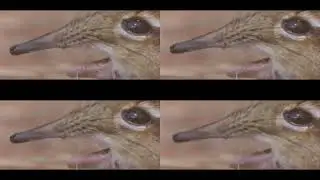 Take a closer look at that AAAAAAAAAAAAAAAA over 1,000,000 times