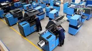 Merlin Diesel Systems Ltd 2018