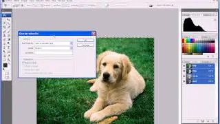 editar partes selecionadas de una imagen curso avanzado de photoshop