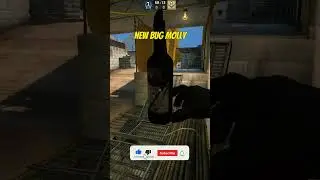 NEW BUG MOLLY VERTIGO 