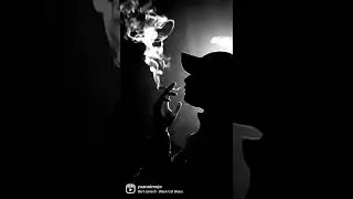 Smokey Midnight