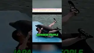 It’s DR Season in Japan #dolphin #japan #animals