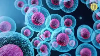 Researchers uncover new target for treatment of rosacea, inflammatory skin conditions
