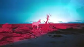 indie tribe - L O W B L O W (Full Album Visualizer)