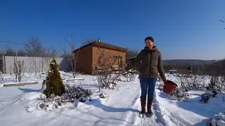 Пришли морозы. Новый вид шпалер на участке. Что укрыто этой зимой.