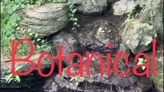 Clark Botanical Garden, a marvelous place to visit [Totally Free] New York #park