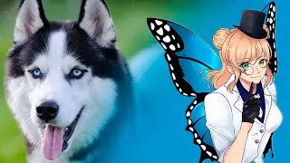 Charla Chill | Animalismo, perrijos y más pend3jad4s