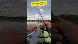 Голавль на Воблер Lucky Craft Malas Mini  #fishing #рыбалка
