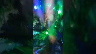 Тося  отказался от клетке.