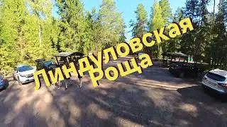 Линдуловская роща
