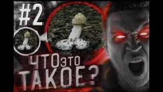 #2 Разоблачение Анила Табуретского: Чсв / Лицемерие / Предательство П.О.Х