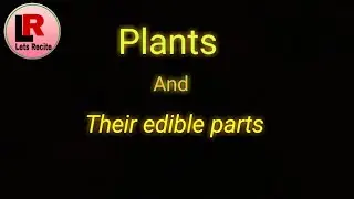 plants and their parts that we eat