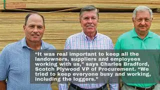 Scotch Plywood, WAYNESBORO, Mississippi - Panel World July 2022
