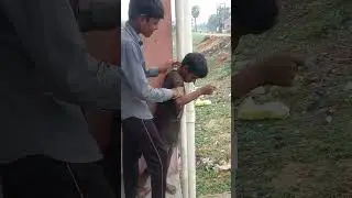 #bhojpuri #song #sad #sadsong #music #comedy #surajroxfunnyvibeo
