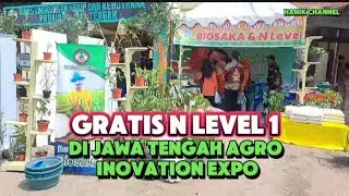 Gratis N Level 1 di JAE Soropadan#ansar #nlevel1 #biosaka #hanikchannel