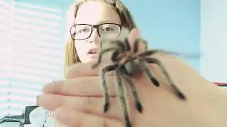 COMO CUIDAR UNA TARÁNTULA/GRAMMOSTOLA ROSEA/BICHOGIRLCHANNEl