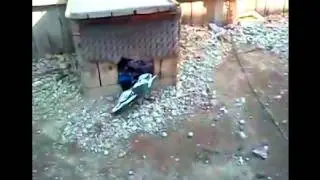 Спит в будке