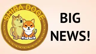 ShibaDoge Coin News!