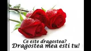 Te iubesc și te ador dragostea mea. ♥️