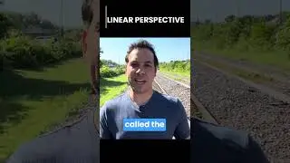 LINEAR PERSPECTIVE - DEPTH PERCEPTION - MONOCULAR CUE