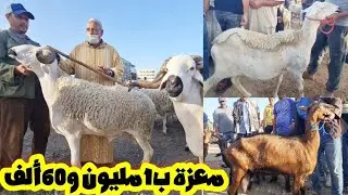 فسوق أحد فاس لنعجة وحوالى وماعز🐐معزة ب13000درهم😱 2024/09/08