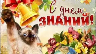 💐С НАЧАЛОМ УЧЕБНОГО ГОДА💐КРАСИВОЕ ПОЗДРАВЛЕНИЕ! С ДНЁМ ЗНАНИЙ💐