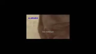 Безжалостная схватка льва и медведя в дикой природе!