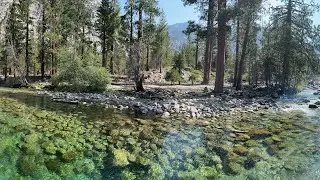 California Travel Vlog | Day Four: Sequoia National Park Hike, Zumwalt Meadows