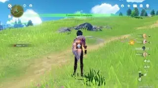 Genshin Impact (Blocked?)