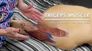 How to Massage the Triceps