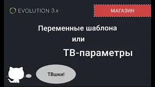 005. Коротко о ТВ-параметрах в Evolution CMS