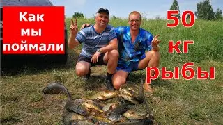 Как мы поймали 50 кг рыбы
