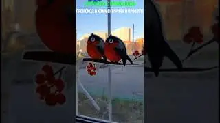 Новогодние наклейки на окна 