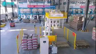 BIB secondary packaging line | Primary packaging line | Robotic palletizing system