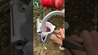 Fresh drinks 😍 #satisfyingvideos  #oddlysatisfying #oddlysatisfyingvideo #shorts  #trending