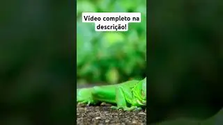 Como remover histórico do acesso rápido do pc