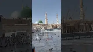 The Madina Urdu Song Duet That Went Viral