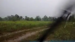 06.06.19 на пасеке нет плохой погоды
