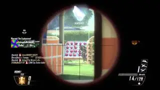 David vG: Minitage 11