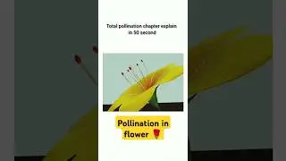 POLLINATION IN FLOWERS 🌹 || Ek Min me pura Pollination ka Concept Clear #ytshorts #shorts #csir#net