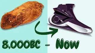 Evolution of Shoes | 8,000BC - Now