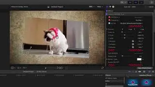 Final Cut PSR 3D Filter