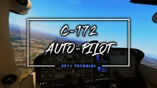 C172 AUTO-PILOT: FACILISSIMO! | ITA | Xp11